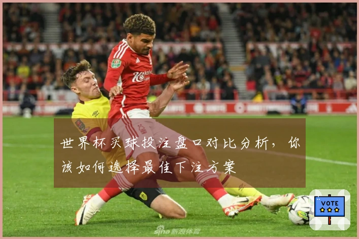 世界杯买球投注盘口对比分析，你该如何选择最佳下注方案