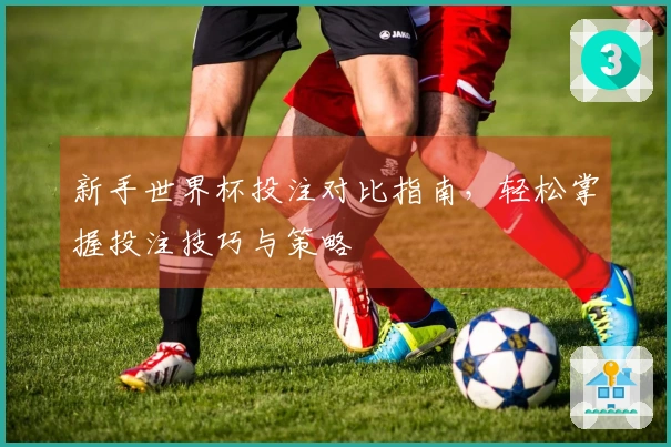 新手世界杯投注对比指南，轻松掌握投注技巧与策略