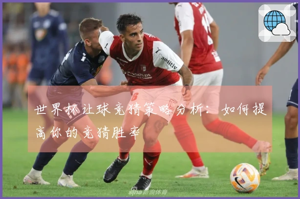 世界杯让球竞猜策略分析：如何提高你的竞猜胜率