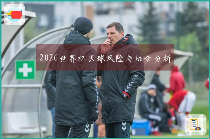 2026世界杯买球风险与机会分析