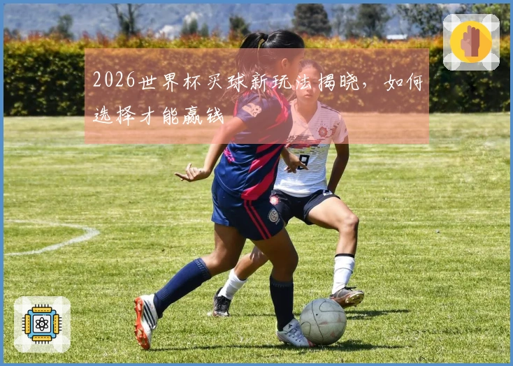 2026世界杯买球新玩法揭晓，如何选择才能赢钱