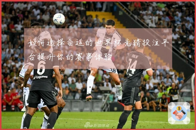 如何选择合适的世界杯竞猜投注平台提升你的赛事体验