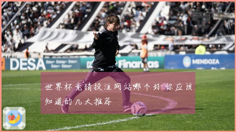 世界杯竞猜投注网站哪个好 你应该知道的几大推荐
