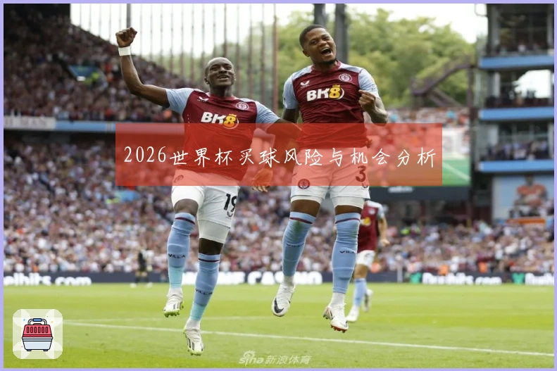 2026世界杯买球风险与机会分析