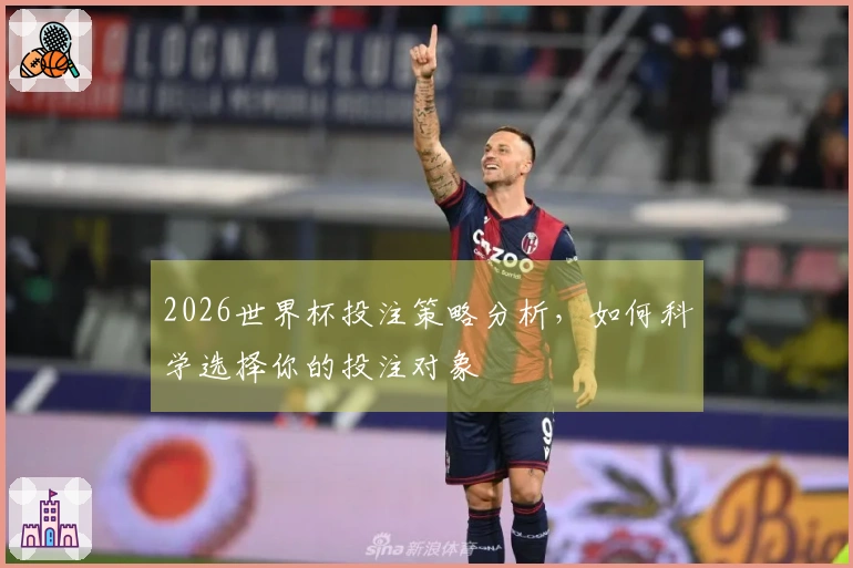 2026世界杯投注策略分析，如何科学选择你的投注对象