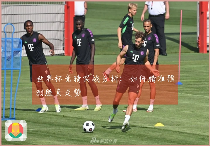世界杯竞猜实战分析：如何精准预测胜负走势
