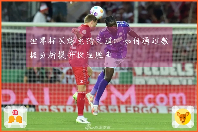 世界杯买球竞猜之道：如何通过数据分析提升投注胜率