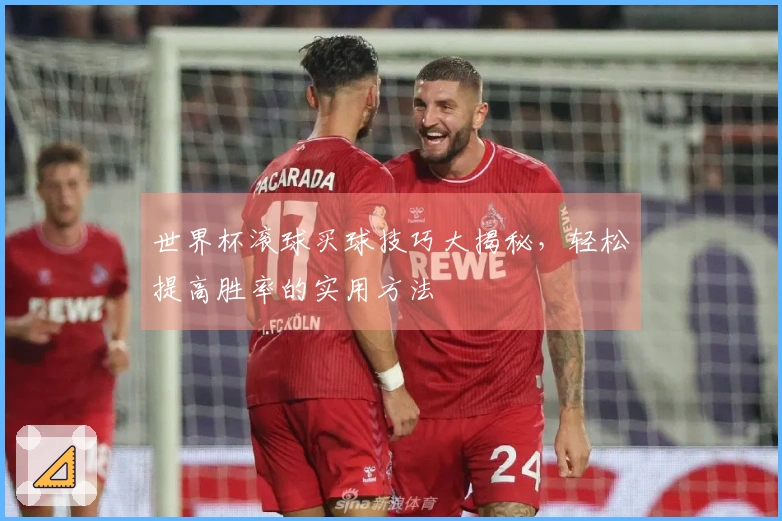 世界杯滚球买球技巧大揭秘，轻松提高胜率的实用方法