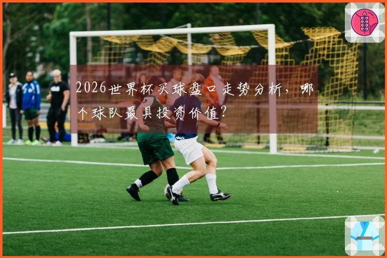 2026世界杯买球盘口走势分析，哪个球队最具投资价值？