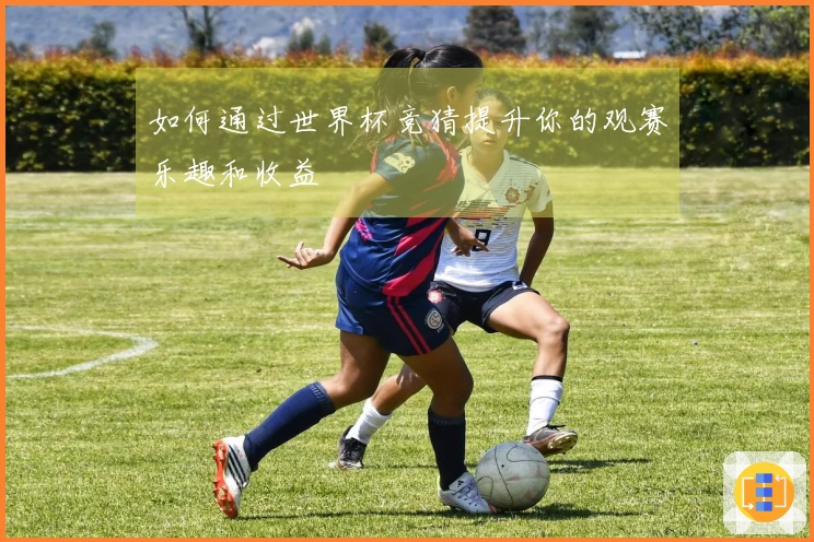 如何通过世界杯竞猜提升你的观赛乐趣和收益
