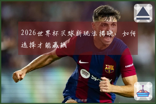 2026世界杯买球新玩法揭晓，如何选择才能赢钱