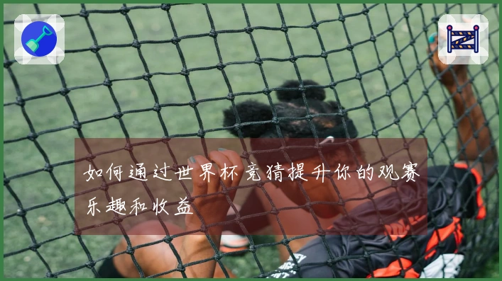 如何通过世界杯竞猜提升你的观赛乐趣和收益