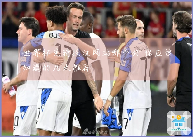 世界杯竞猜投注网站哪个好 你应该知道的几大推荐