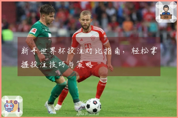 新手世界杯投注对比指南，轻松掌握投注技巧与策略