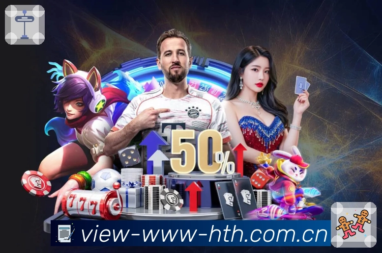 稳定访问登录器